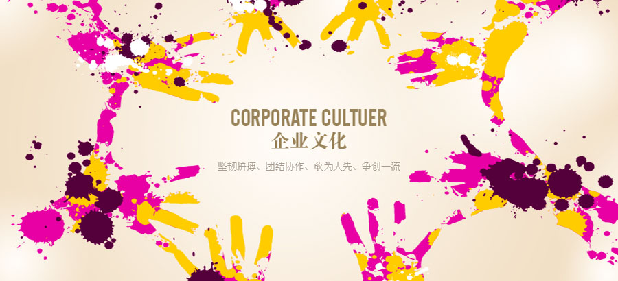 金狮贵宾会股份