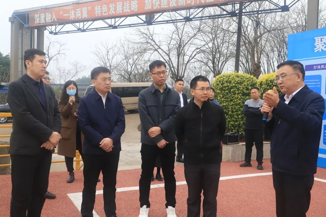 国度发展鼎新委河山开发与地域经济钻研所专家光临公司调研经济发展