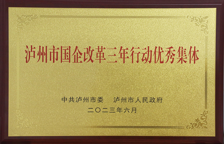 泸州市国企鼎新三年行动优良集体
