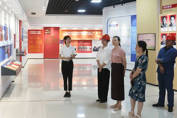 市国资委党委副书记胡琳率队到公司督导查抄