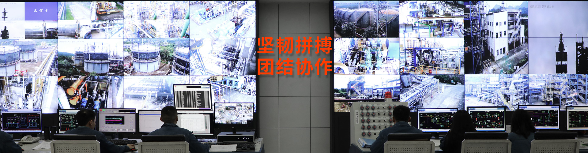 金狮贵宾会集团