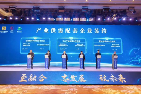 集团参与泸永江产业合作推介会